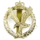 AAC Army Air Corps Beret / Cap Badge QC